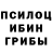 Галлюциногенные грибы мицелий SwiftSN