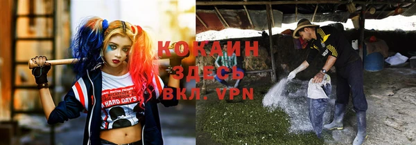 дурь Арсеньев