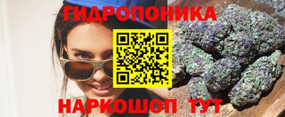 шишки Жуковский