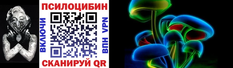Псилоцибиновые грибы Psilocybe Майкоп
