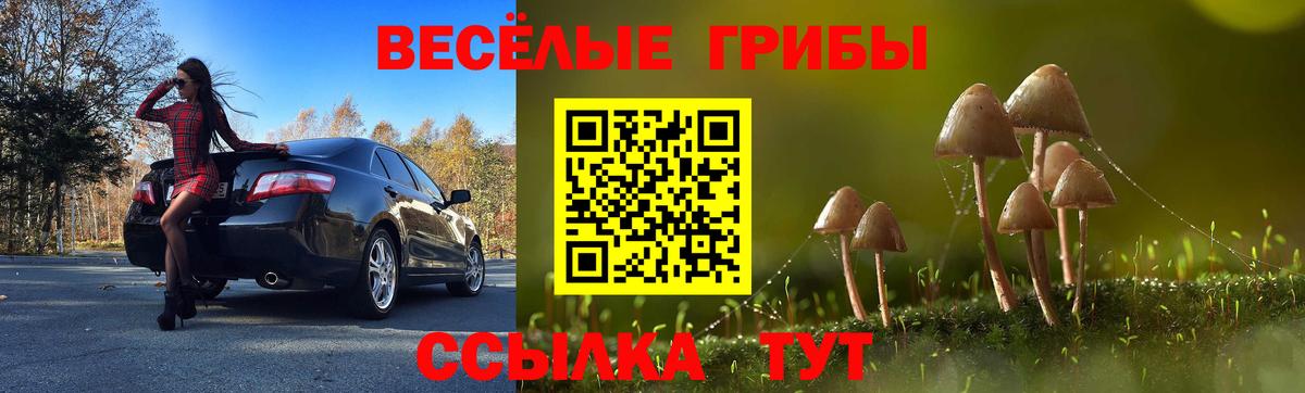 Майкоп  Галлюциногенные грибы мухоморы  Вход с VPN 